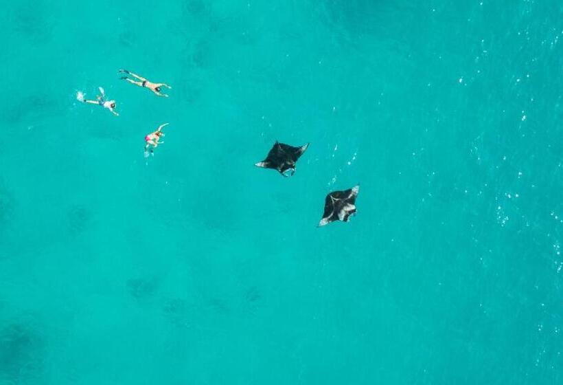 هتل Island Home Inn