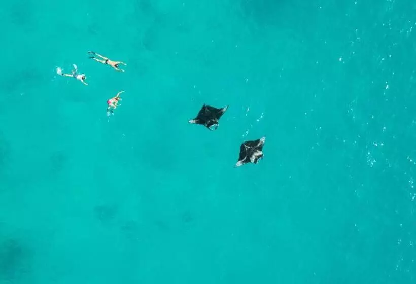 Hotelli Island Home Inn