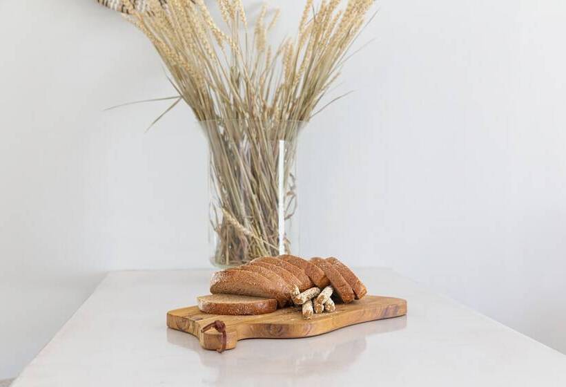 Malibu Studios   Elegant & Cosy