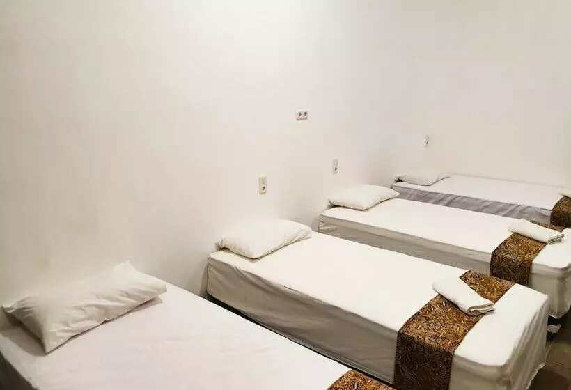 Majatalo Tiongkok Kecil Heritage Lasem