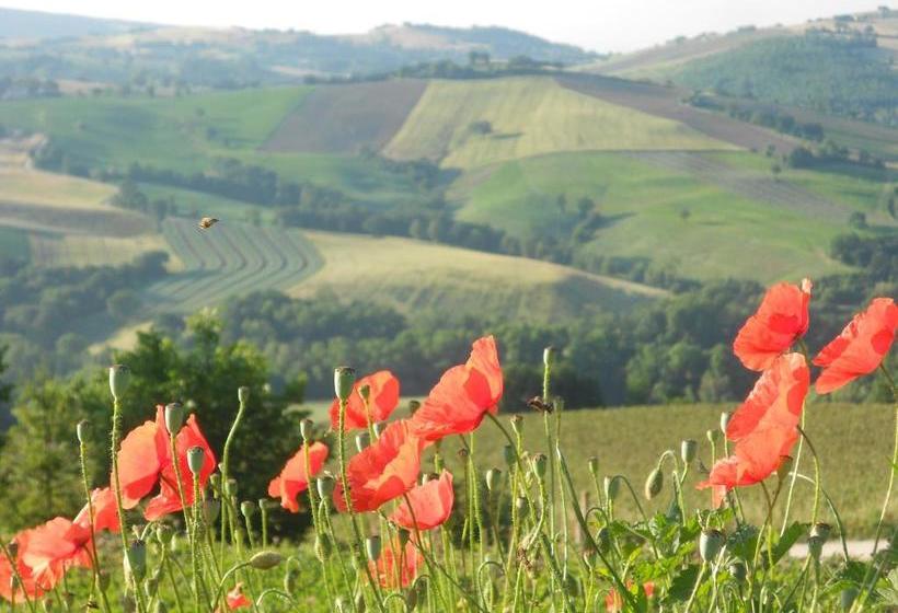 בית מלון כפרי L Isola Che Non C Era