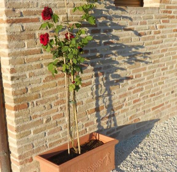 בית מלון כפרי L Isola Che Non C Era