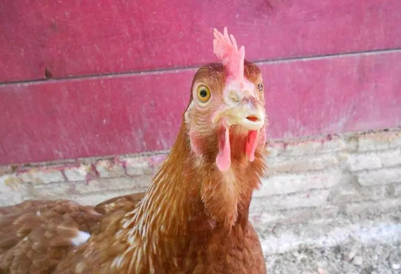 Hotelli L Isola Che Non C Era