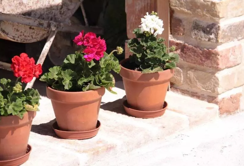 Hotelli L Isola Che Non C Era