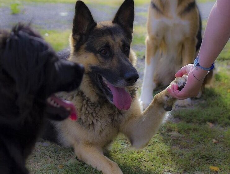 בית מלון כפרי Agriturismo Pretenzano