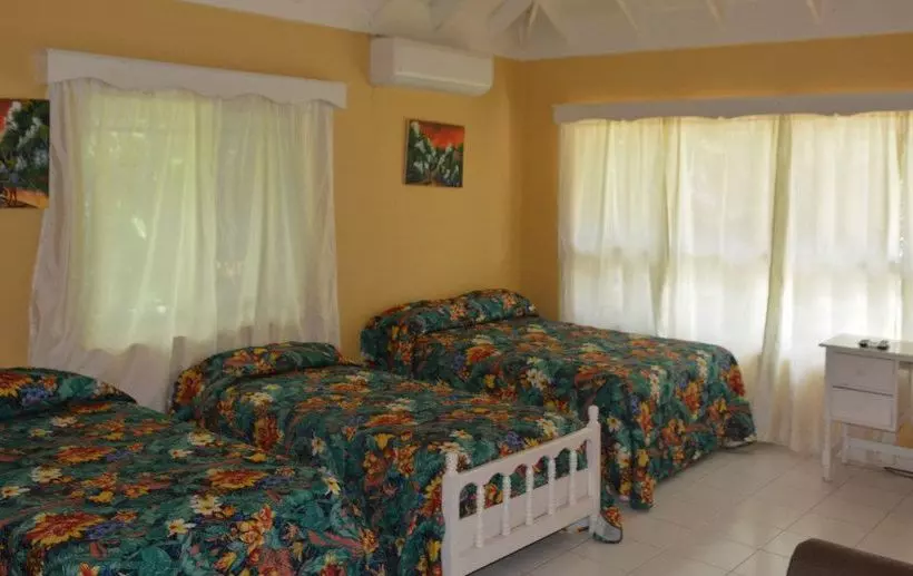 هتل Ayurveda Resort