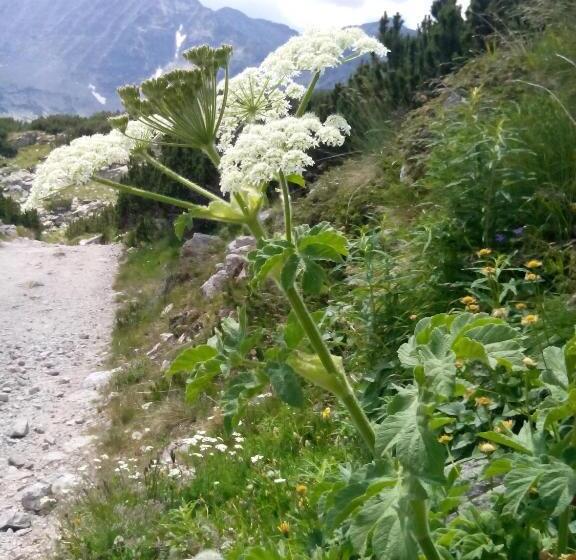 膳宿费 Guesthouse Elizabeth