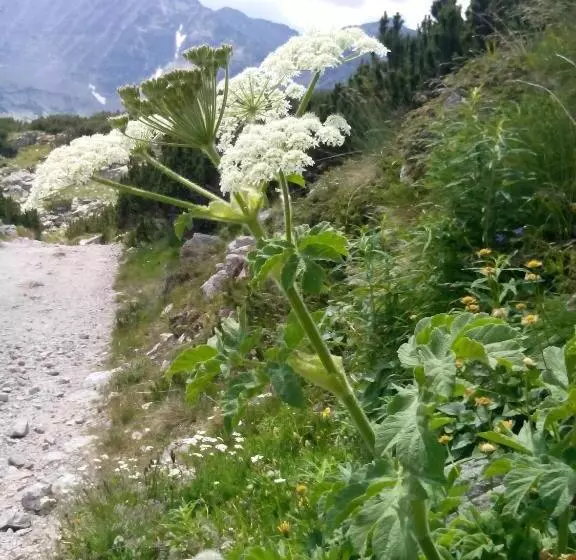 Majatalo Guesthouse Elizabeth