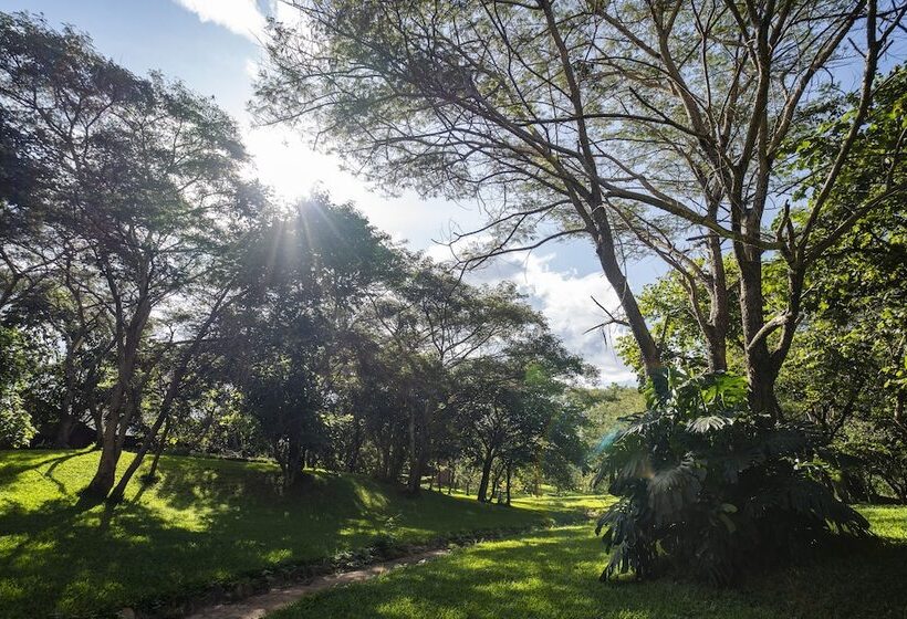 Eden Estates & Boutique Lodge