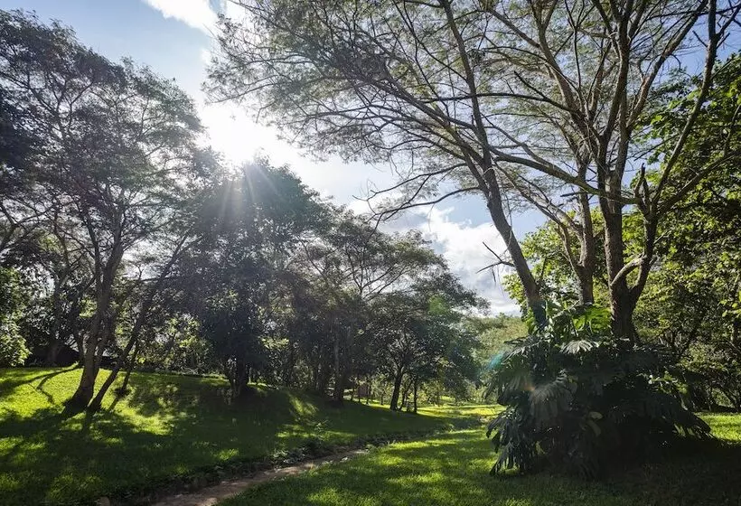 Eden Estates & Boutique Lodge