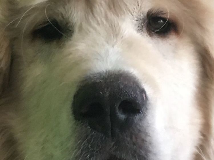 فندق Il Frutteto Di Efesto