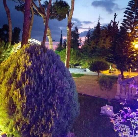 هتل Lemir Faisal Arslan Stay At The Museum