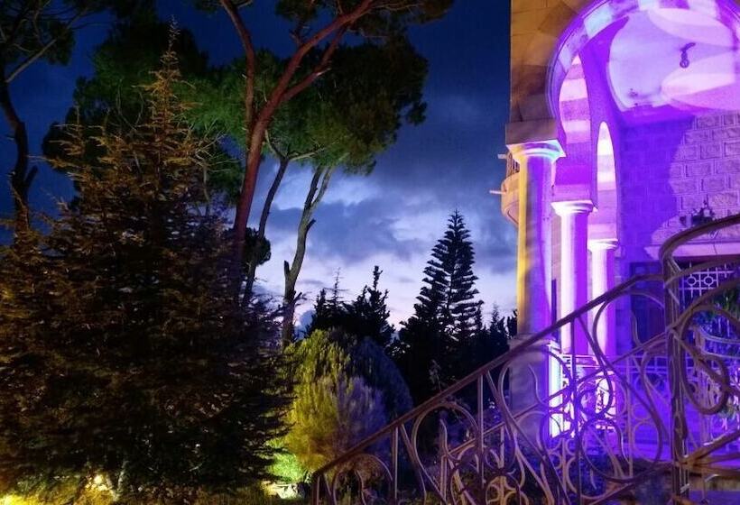 هتل Lemir Faisal Arslan Stay At The Museum