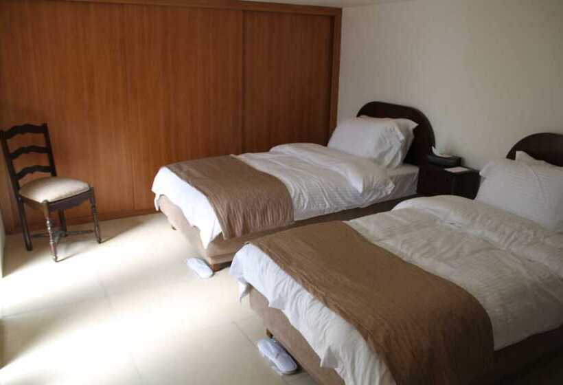 هتل Lemir Faisal Arslan Stay At The Museum