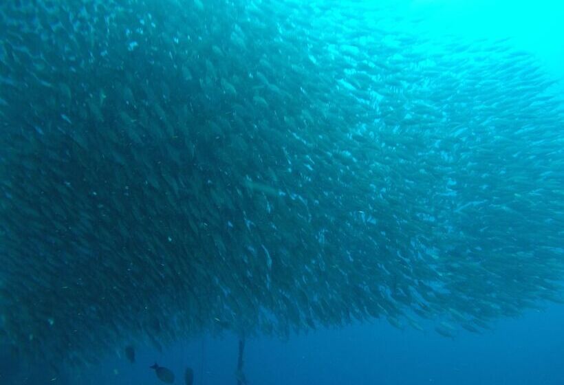 Otel Westcoast Guest House