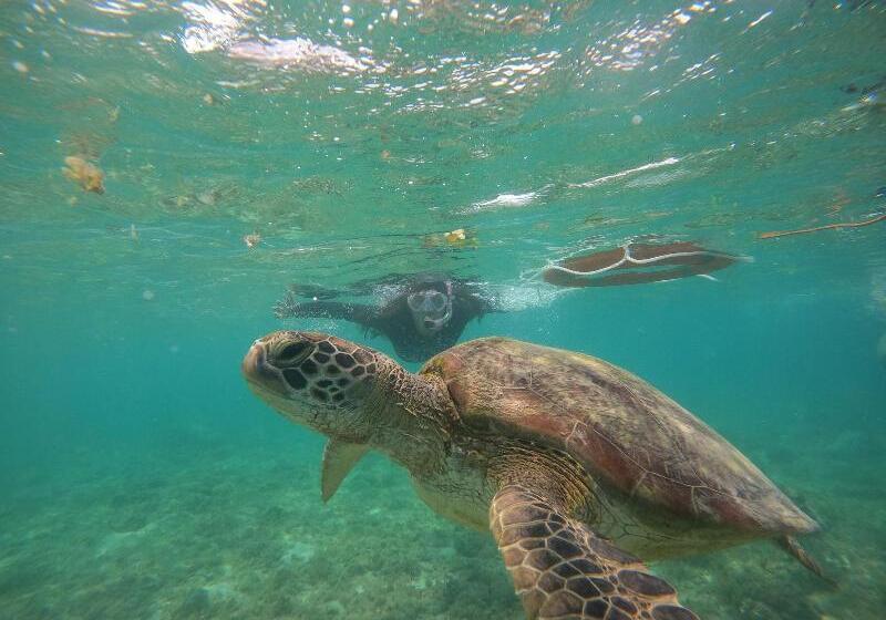 Otel Westcoast Guest House