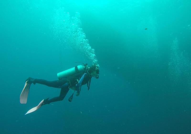 Otel Westcoast Guest House