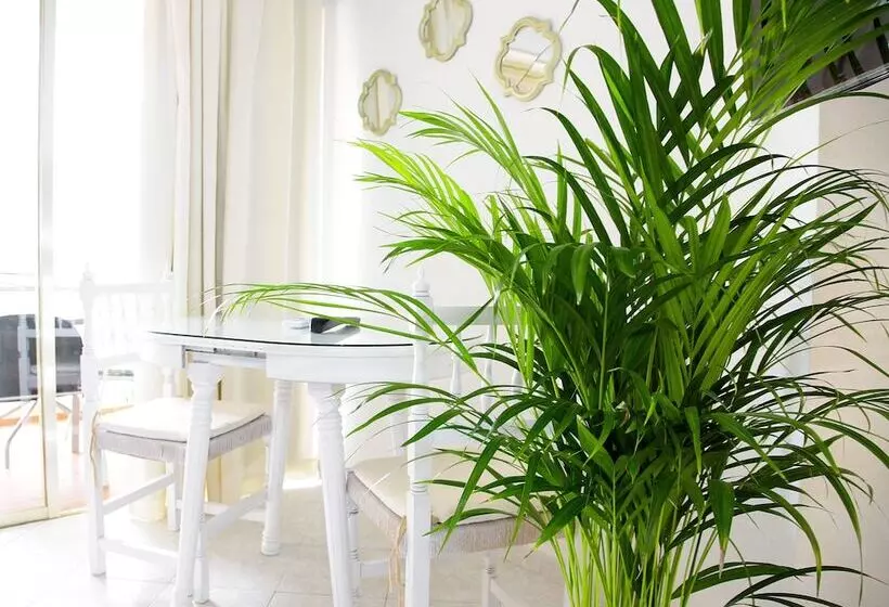 ホテル Apartamentos Apal Chinasol