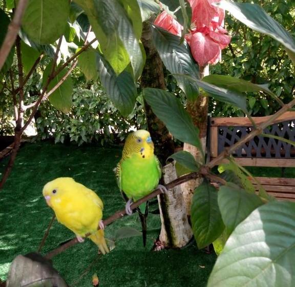 בית מלון כפרי Campestre La Toscana