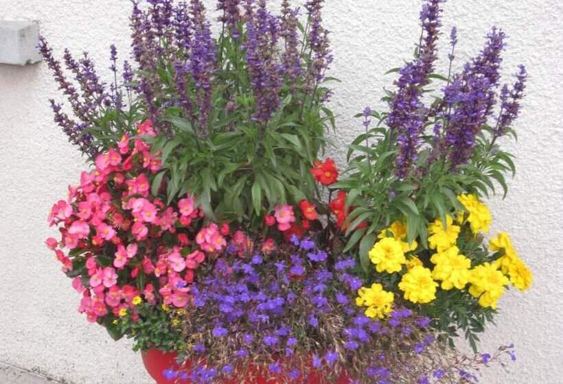 Отель De La Poste