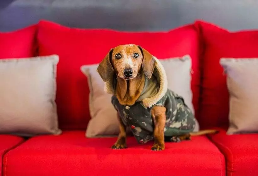 Hotelli Ibis Erechim