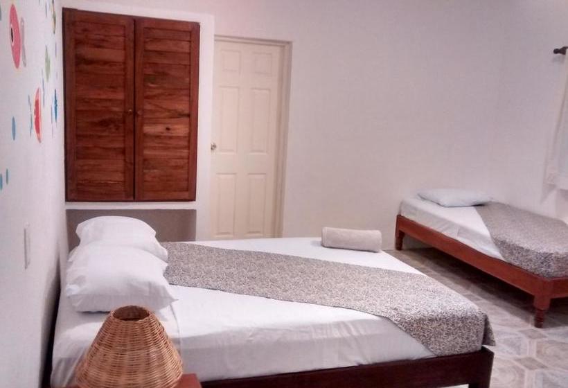 酒店 Posada Gota De Sal Tulum