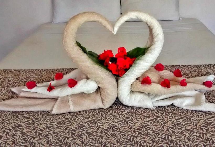 酒店 Posada Gota De Sal Tulum