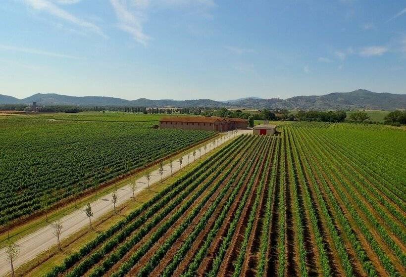 Отель Tenuta Lamborghini Golf & Resort