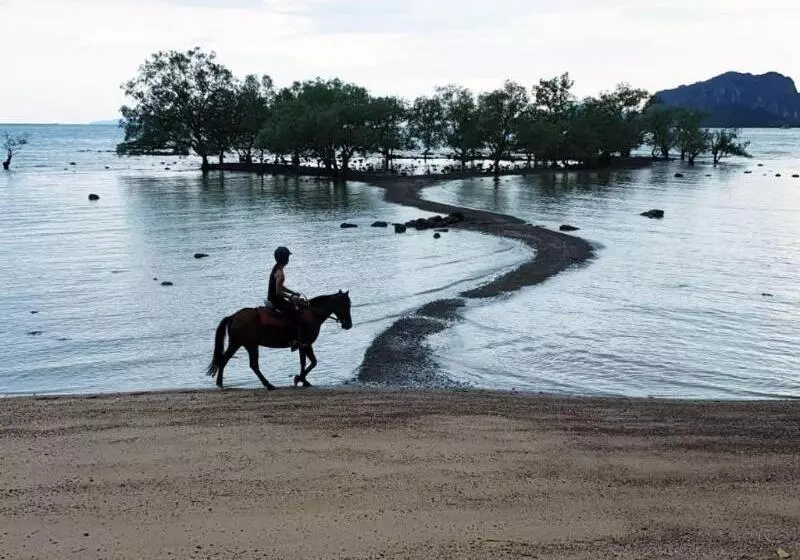 ホテル Villa Chacha Krabi Beachfront Resort