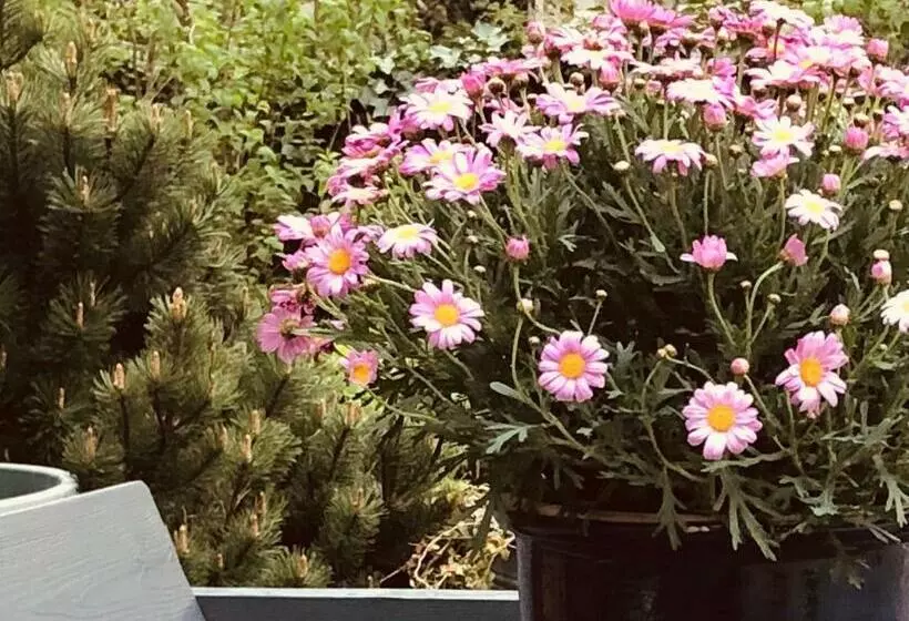 City Hostel By Beans Parc