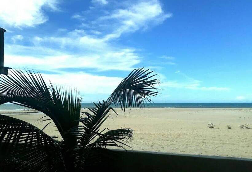 בית מלון כפרי Zebra Boutique