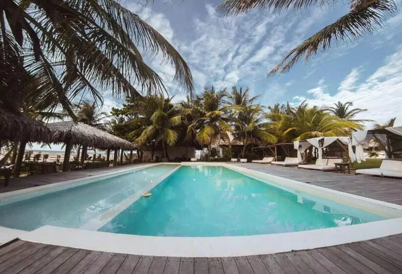 Hotelli Zebra Boutique