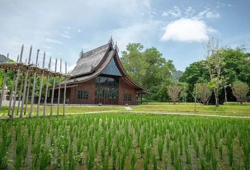 ホテル Indigo Phuket Patong, An Ihg