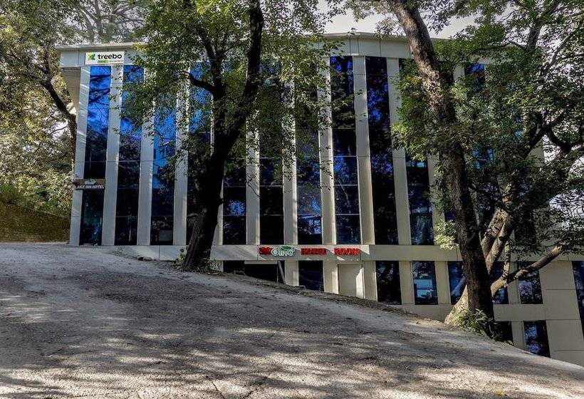 هتل Treebo Olive Lake View Inn June Estate Bhimtal