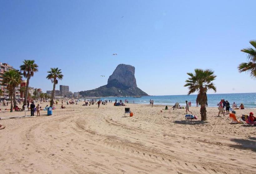 Nerea Calpe