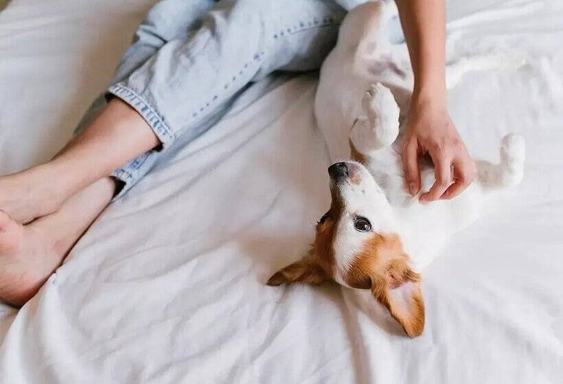 Apartamentos La Cabaneta Mikka Sky 3000