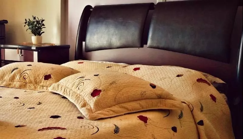 ホテル Apollon Palace