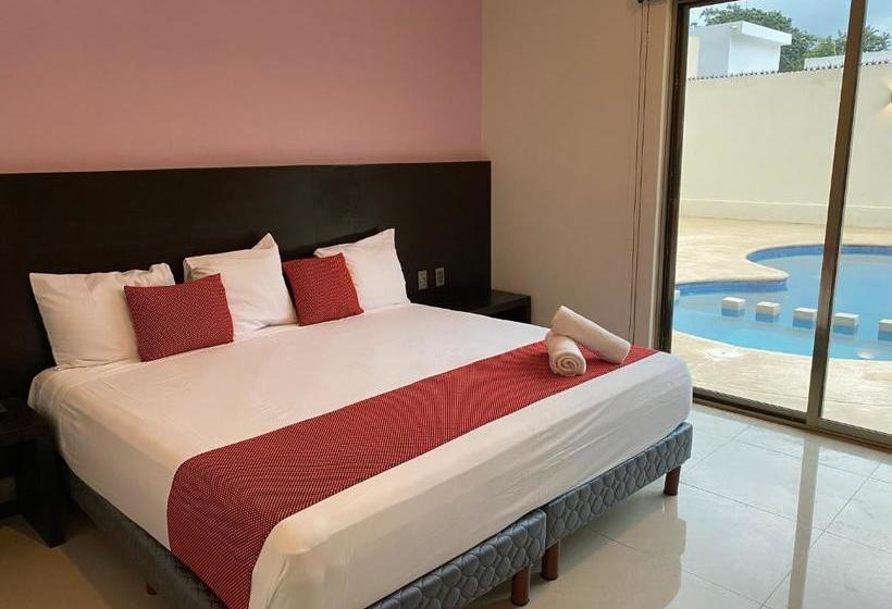 Fotos del hotel Ambra:  9