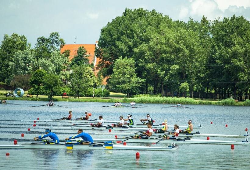 酒店 Ibis Poznan Centrum