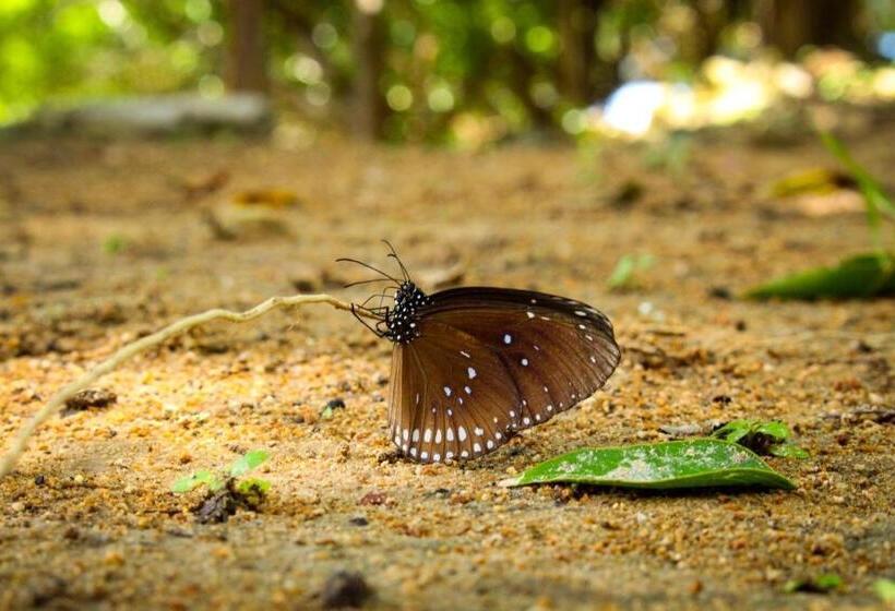 Resort Sangthain Hills