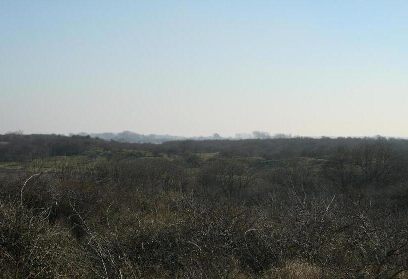 Budget Hotel Vrouwenpolder