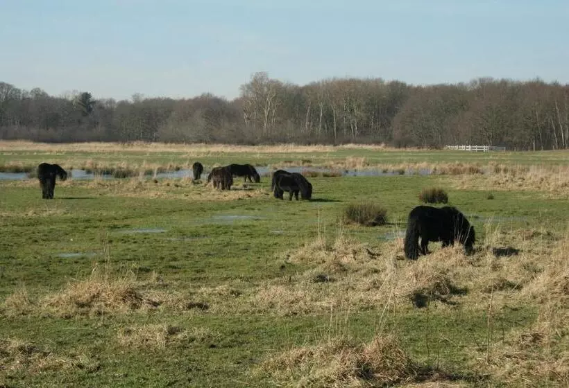 Budget Hotel Vrouwenpolder