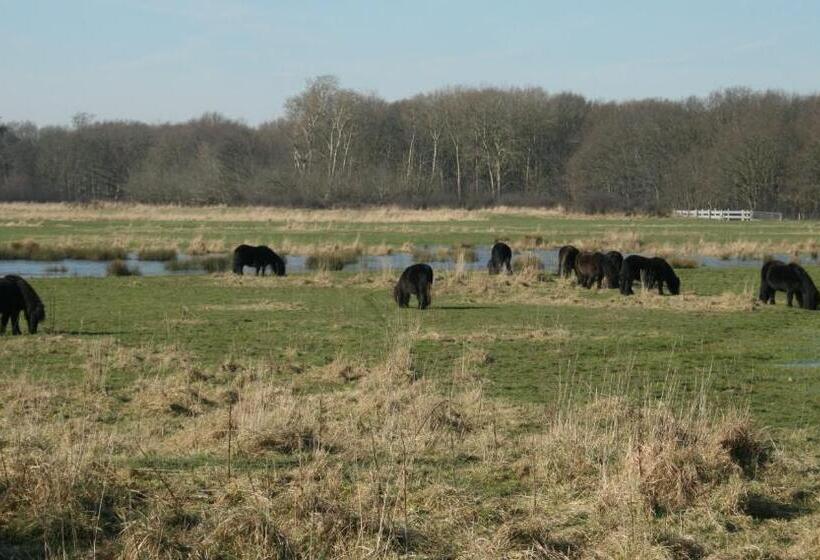 Budget Hotel Vrouwenpolder