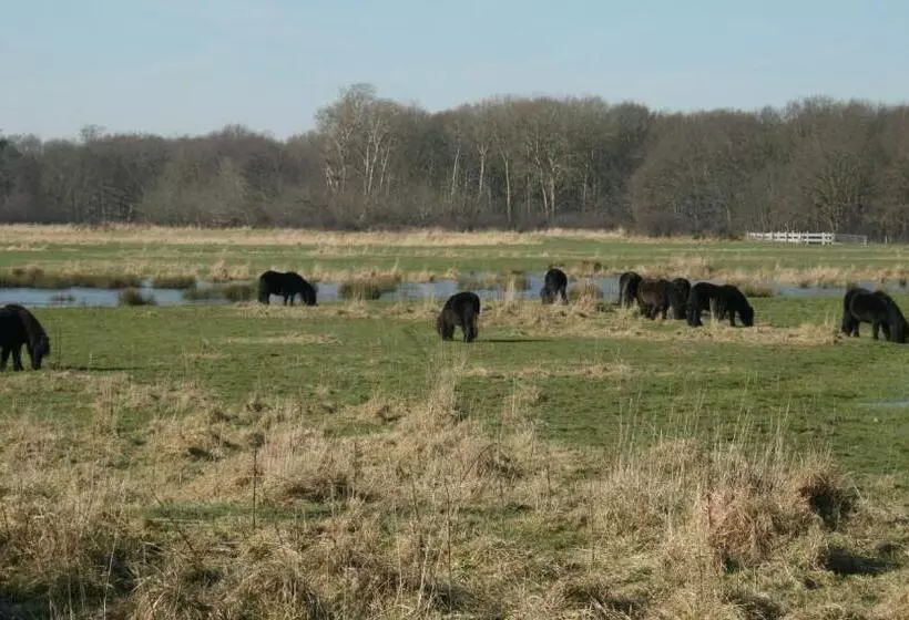 Budget Hotel Vrouwenpolder
