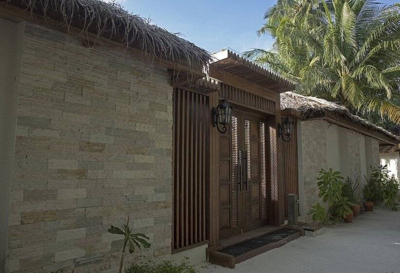 Hostal Plumeria Maldives