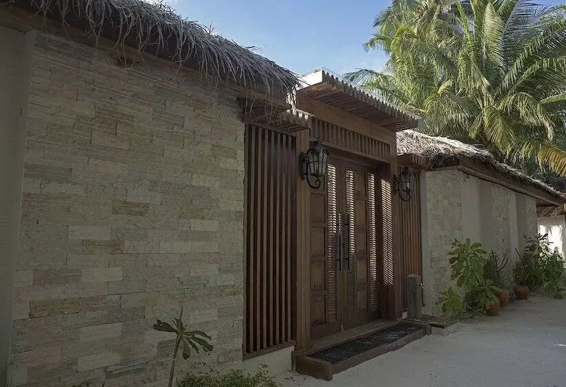 مسافرخانه Plumeria Maldives