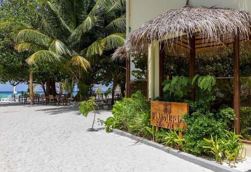 Hostal Plumeria Maldives