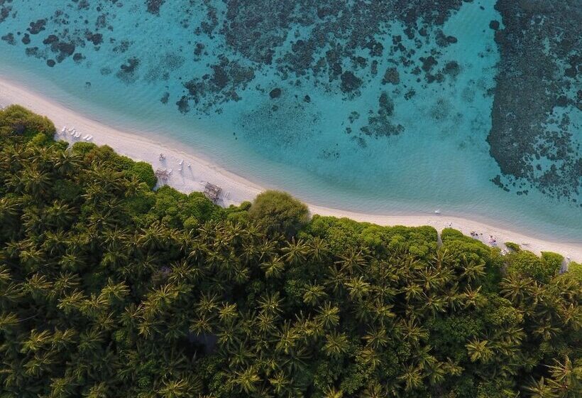 Hostal Plumeria Maldives