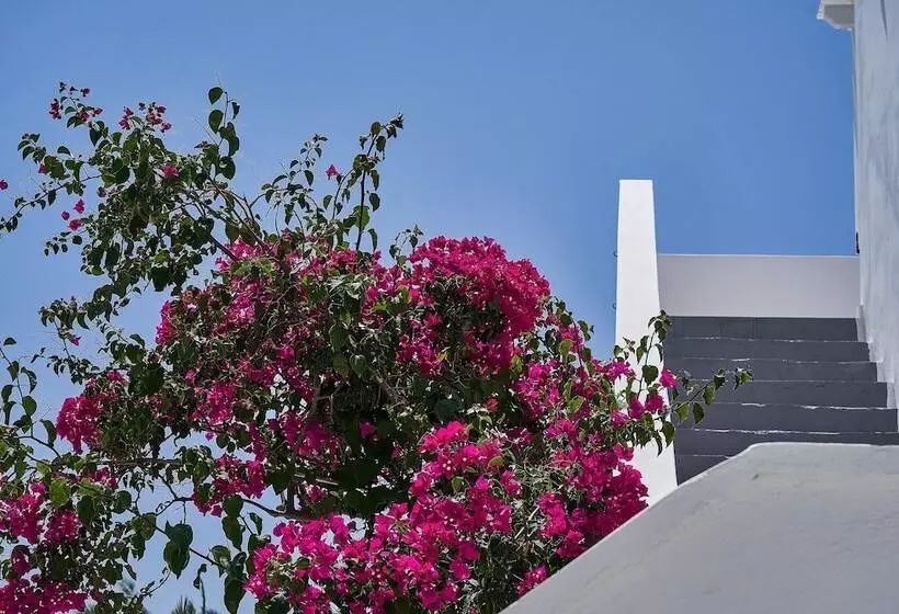 Hotelli Petri Suites