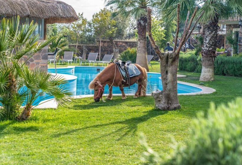 Assos Alis Farm Boutique Hotel & Spa